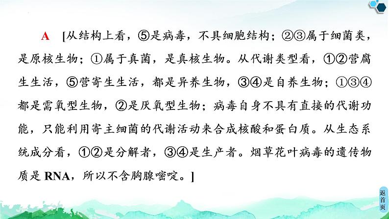 专题1 素能提升课 传统发酵技术的比较--高中生物选修1--同步课件PPT(人教版)第8页