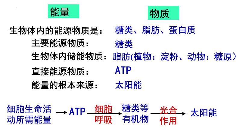 高三一轮复习生物:细胞的能量“货币”ATP课件02