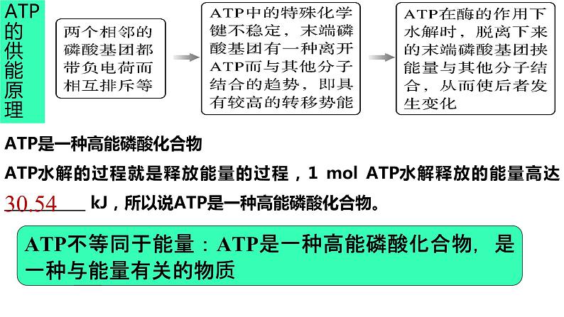 高三一轮复习生物:细胞的能量“货币”ATP课件04