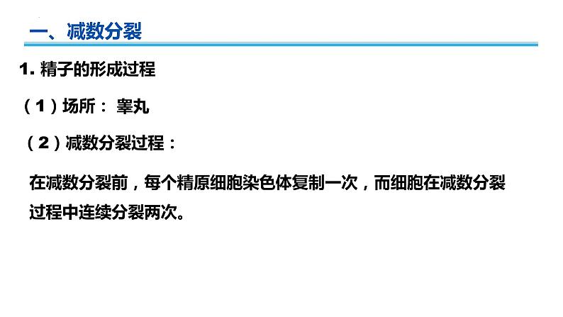 广东省普通高中生物学业水平考试 学考复习——必修二第二章基因和染色体的关系(第一课时)课件第3页