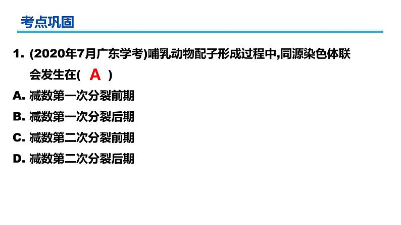 广东省普通高中生物学业水平考试 学考复习——必修二第二章基因和染色体的关系(第一课时)课件第6页