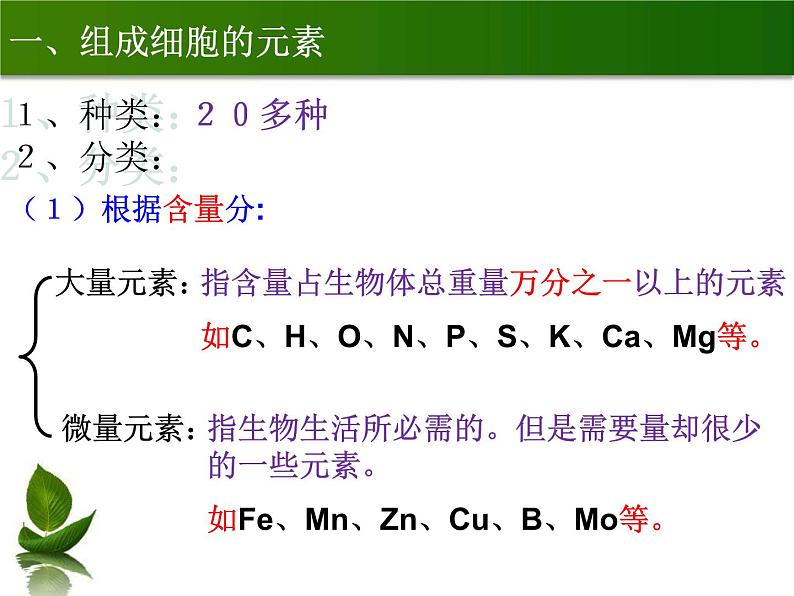 2.1 细胞中的元素和化合物课件--高一上学期生物人教版(2019)必修105
