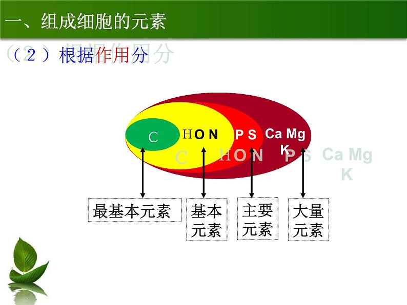 2.1 细胞中的元素和化合物课件--高一上学期生物人教版(2019)必修106