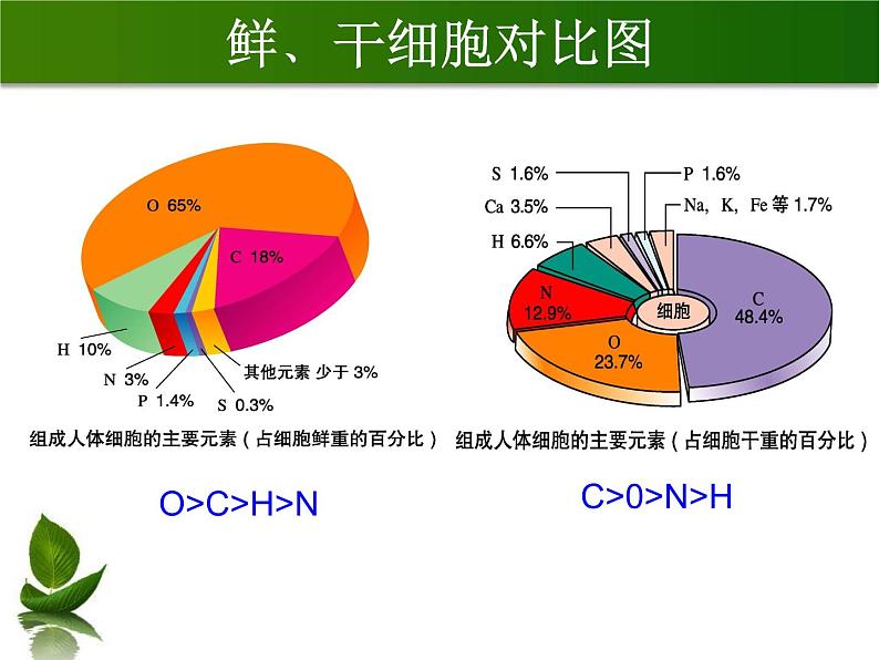 2.1 细胞中的元素和化合物课件--高一上学期生物人教版(2019)必修107