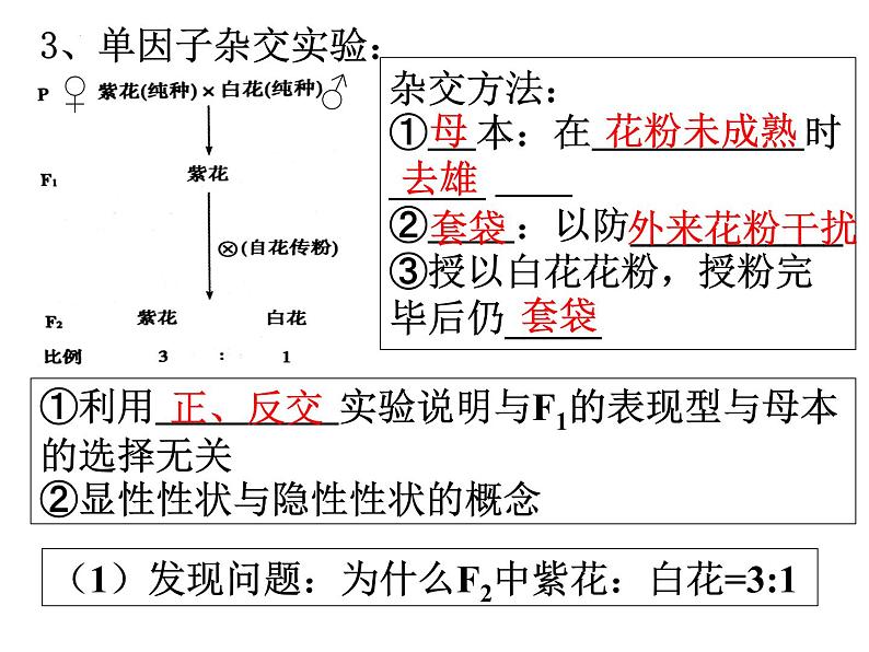 高三一轮复习生物:分离定律课件第6页