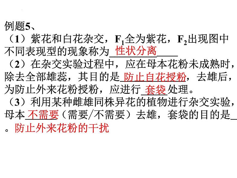 高三一轮复习生物:分离定律课件第7页