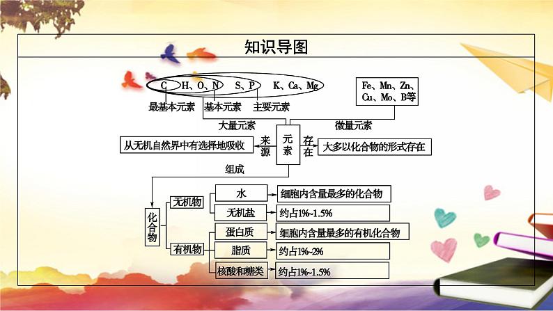 2.1细胞中的元素和化合物课件--高一上学期生物人教版(2019)必修1 (1)第4页
