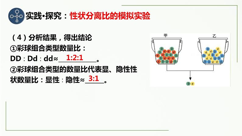 1.1孟德尔的豌豆杂交实验(一)第二课时 课件--高一下学期生物人教版必修2第3页