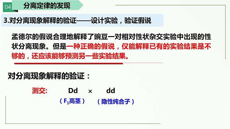 1.1孟德尔的豌豆杂交实验(一)第二课时 课件--高一下学期生物人教版必修2第6页