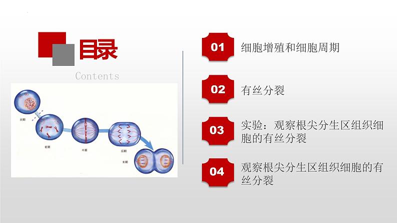高三一轮复习生物:第14讲 细胞的增殖课件第3页