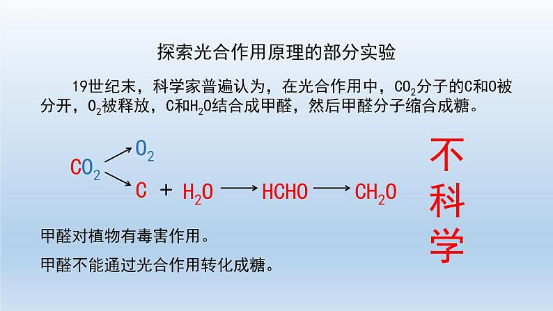 5.4光合作用与能量转化(第三课时)课件--高一上学期生物人教版(2019)必修104
