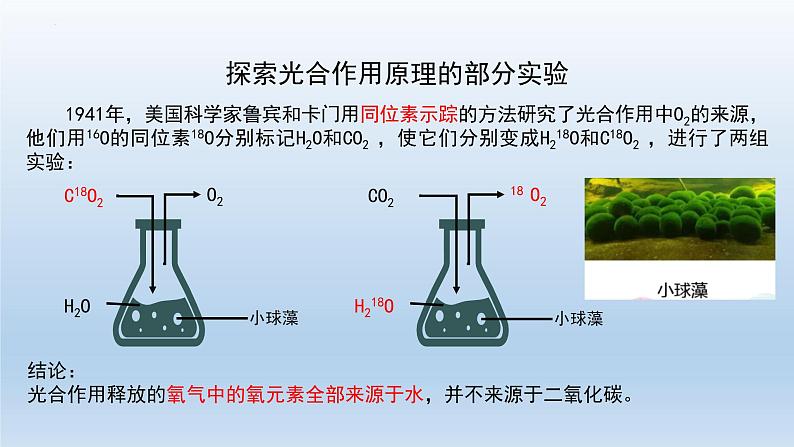 5.4光合作用与能量转化(第三课时)课件--高一上学期生物人教版(2019)必修107