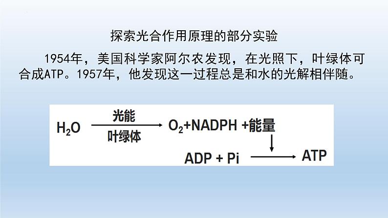 5.4光合作用与能量转化(第三课时)课件--高一上学期生物人教版(2019)必修108