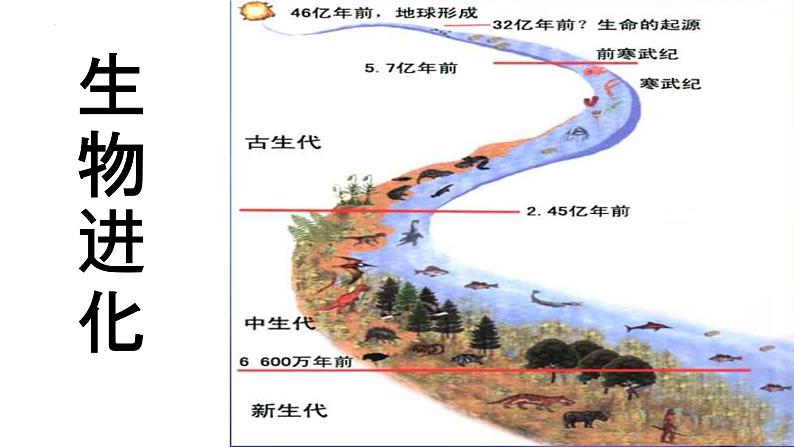 高考二轮复习课件:专题5 生物的进化第1页