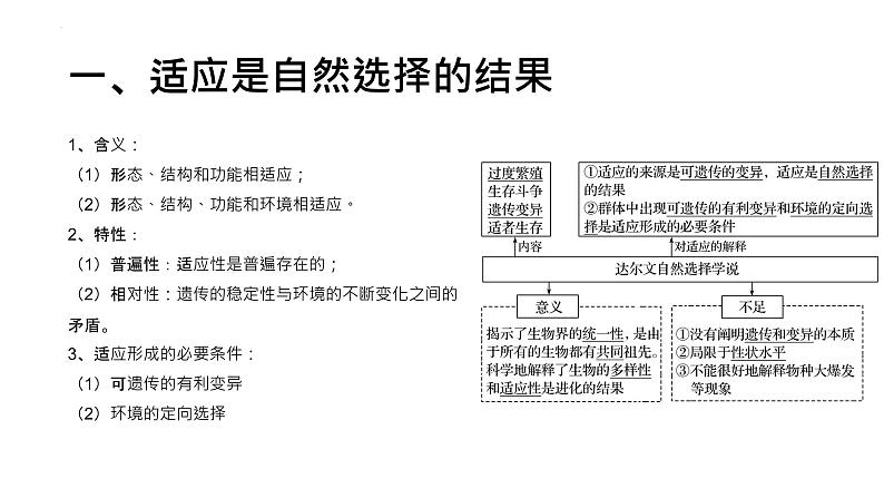 高考二轮复习课件:专题5 生物的进化第3页