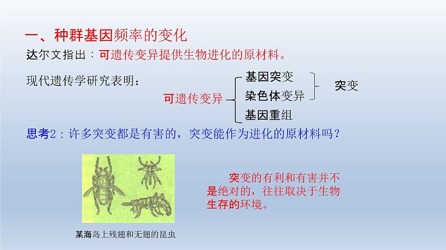 6.3 種群基因組成的變化與物種的形成(1)種群基因組成的變化(第二課時)課件--高一下學期生物人教版必修2第5頁