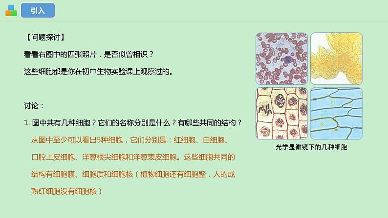 1.2细胞的多样性和统一性课件--高一上学期生物人教版(2019)必修1 (1)第3页