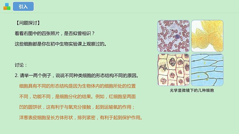 1.2细胞的多样性和统一性课件--高一上学期生物人教版(2019)必修1 (1)第4页