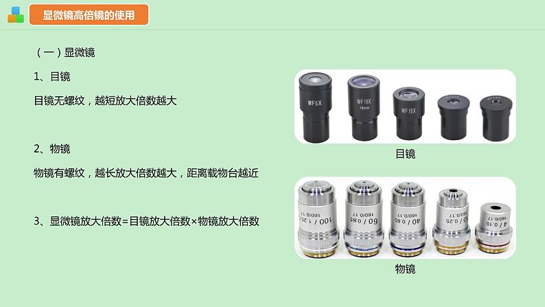 1.2细胞的多样性和统一性课件--高一上学期生物人教版(2019)必修1 (1)第6页