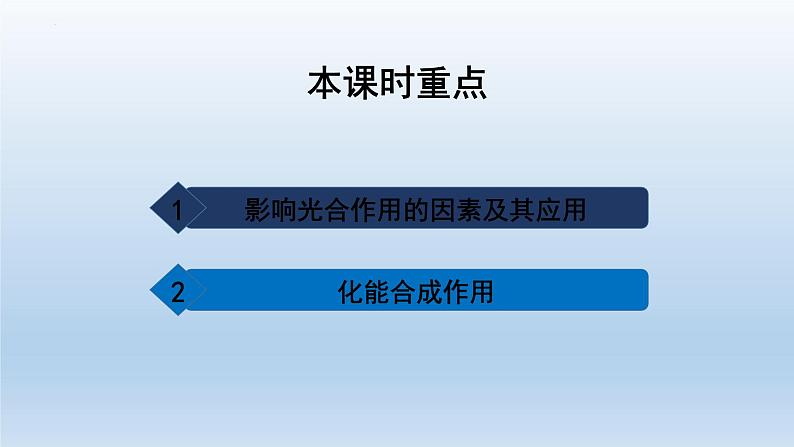 5.4光合作用与能量转化(第四课时)--高一上学期生物人教版(2019)必修1 课件02
