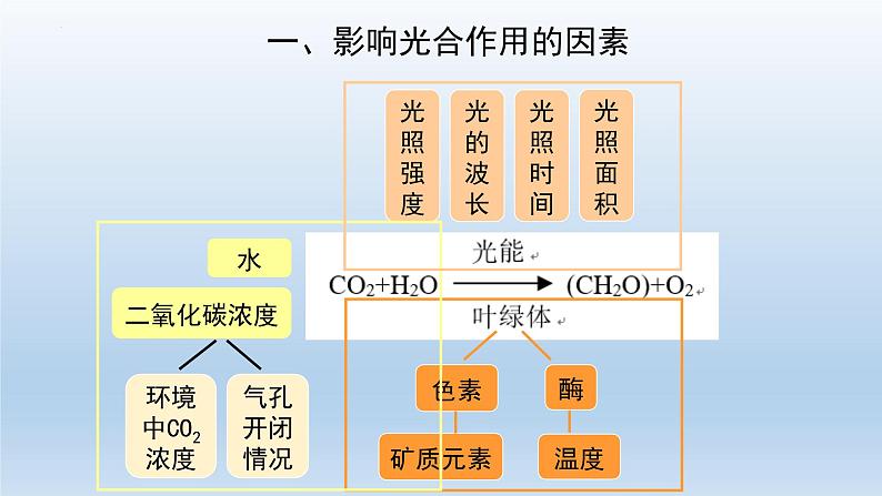 5.4光合作用与能量转化(第四课时)--高一上学期生物人教版(2019)必修1 课件03
