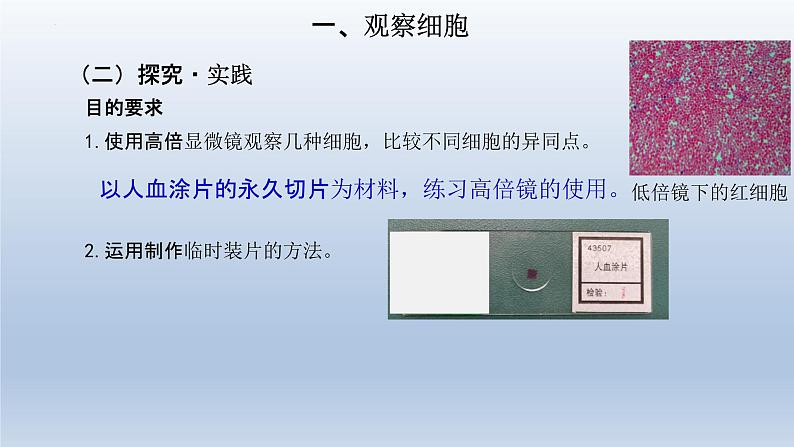 1.2细胞的多样性和统一性(第1课时)课件--高一上学期生物人教版(2019)必修107