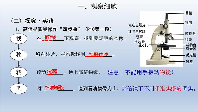 1.2细胞的多样性和统一性(第1课时)课件--高一上学期生物人教版(2019)必修108