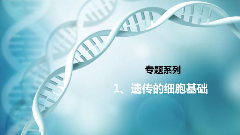 高三一轮复习生物：专题1-遗传的细胞基础（减数分裂&有丝分裂）课件01