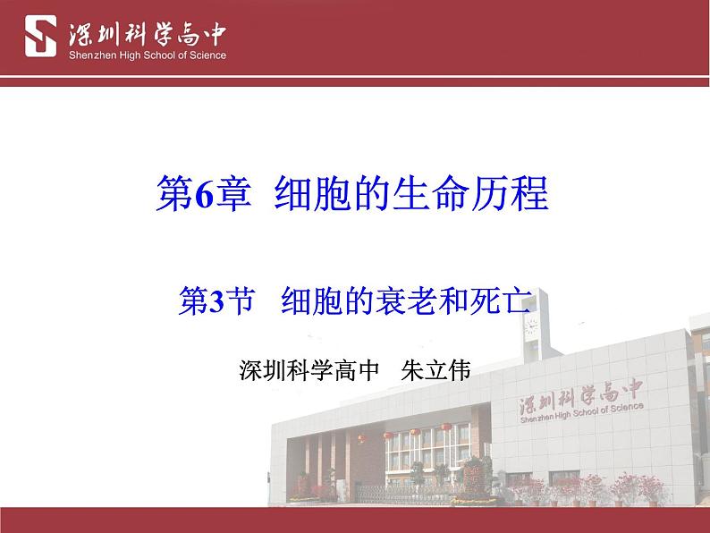 高中生物 细胞的衰老与死亡 课件第1页