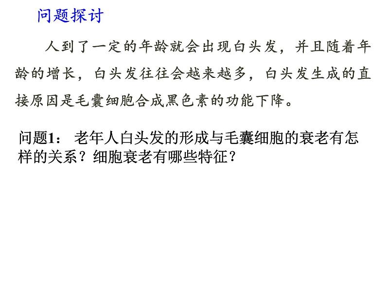 高中生物 细胞的衰老与死亡 课件第3页