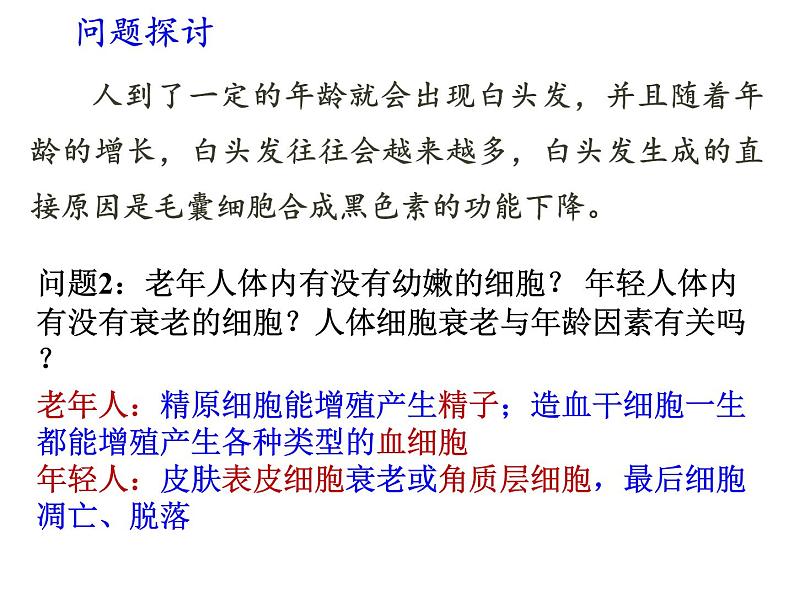 高中生物 细胞的衰老与死亡 课件第6页