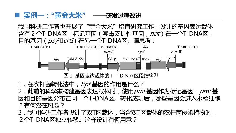 高中生物 基因工程的基本操作步骤(第2课时)课件07