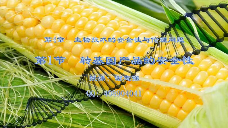 4.1转基因产品的安全性课件--高二下学期生物人教版选择性必修3第1页