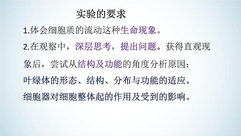 高中生物 探究实践:用高倍显微镜观察叶绿体和细胞质的流动 课件02