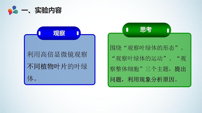 高中生物 探究实践:用高倍显微镜观察叶绿体和细胞质的流动 课件03