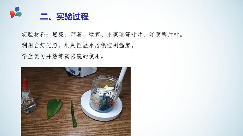 高中生物 探究实践:用高倍显微镜观察叶绿体和细胞质的流动 课件04