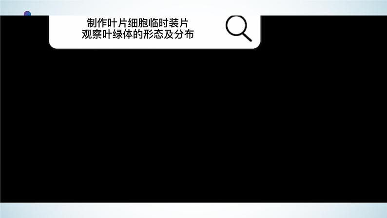 高中生物 探究实践:用高倍显微镜观察叶绿体和细胞质的流动 课件05