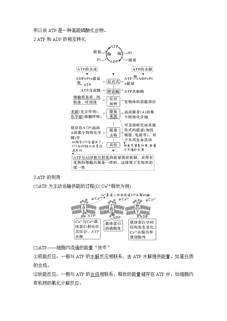 2023版创新设计高考生物(新教材人教版)总复习一轮讲义第7讲 ATP和酶第2页