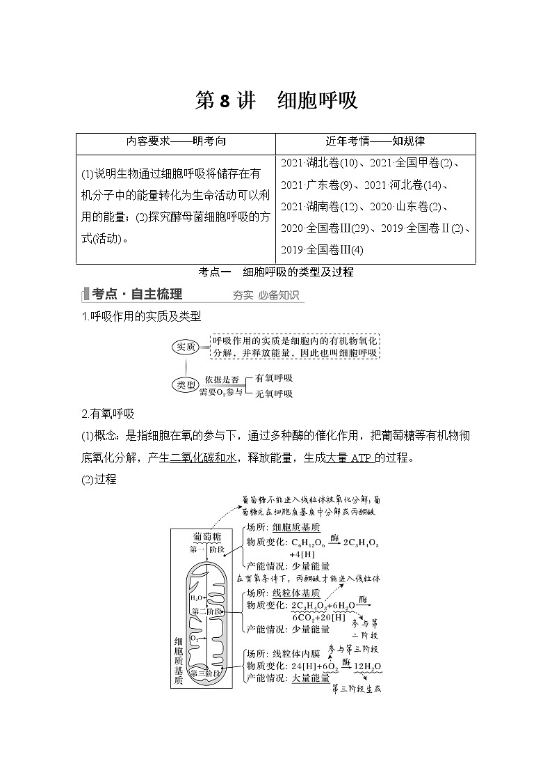 2023版创新设计高考生物(新教材人教版)总复习一轮讲义第8讲 细胞呼吸01