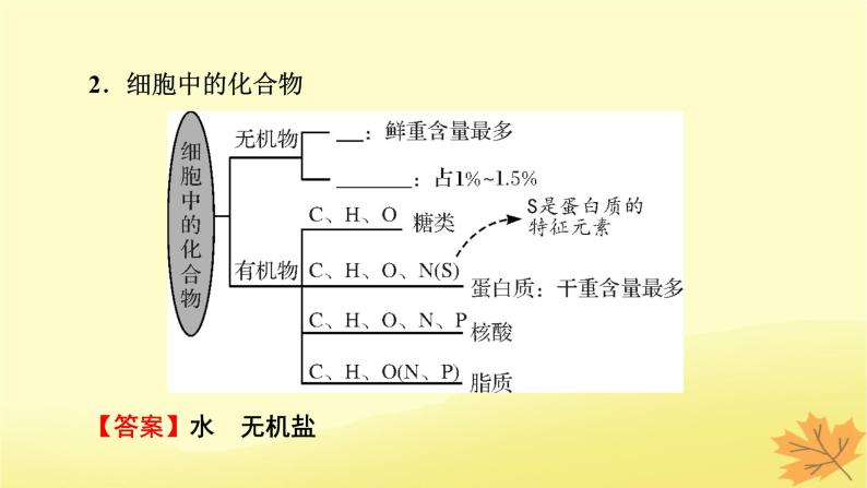 2023版高考生物一轮总复习第1单元走近细胞组成细胞的分子第2讲细胞中的元素和化合物细胞中的无机物课件08