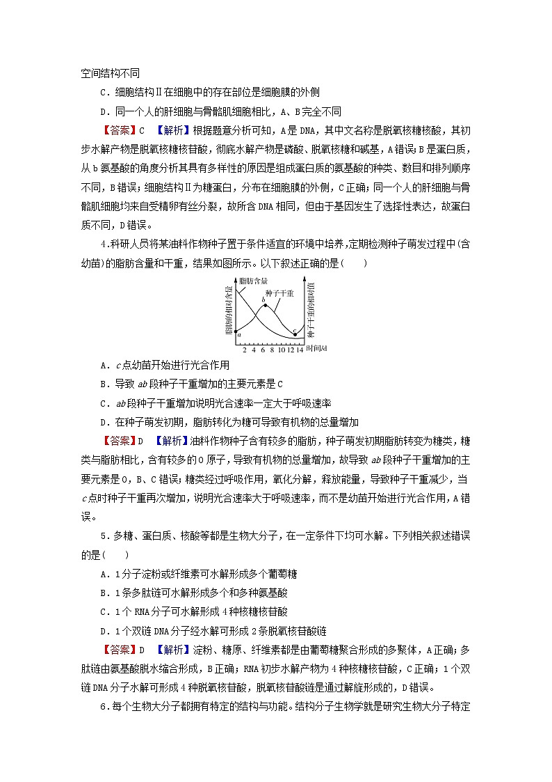 2023版高考生物一轮总复习第1单元走近细胞组成细胞的分子第4讲核酸是遗传信息的携带者细胞中的糖类和脂质课后提能演练第2页