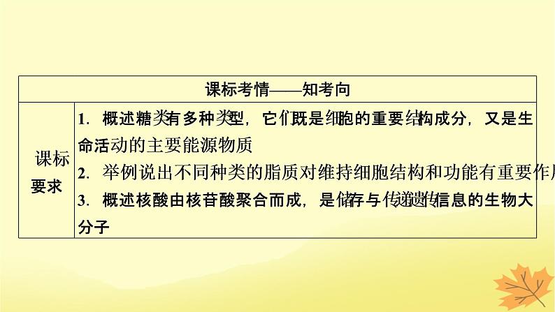 2023版高考生物一轮总复习第1单元走近细胞组成细胞的分子第4讲核酸是遗传信息的携带者细胞中的糖类和脂质课件02