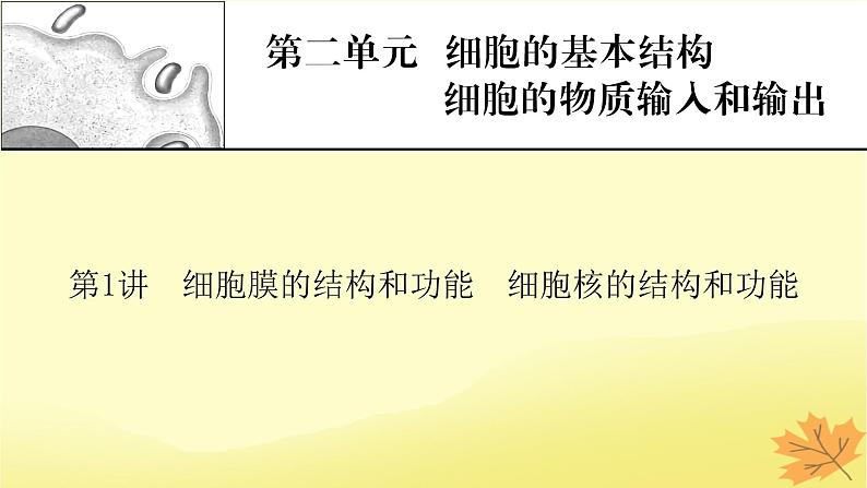 2023版高考生物一轮总复习第2单元细胞的基本结构细胞的物质输入和输出第1讲细胞膜的结构和功能细胞核的结构和功能课件01
