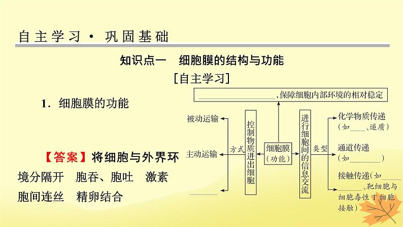 2023版高考生物一轮总复习第2单元细胞的基本结构细胞的物质输入和输出第1讲细胞膜的结构和功能细胞核的结构和功能课件04