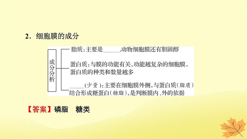 2023版高考生物一轮总复习第2单元细胞的基本结构细胞的物质输入和输出第1讲细胞膜的结构和功能细胞核的结构和功能课件05