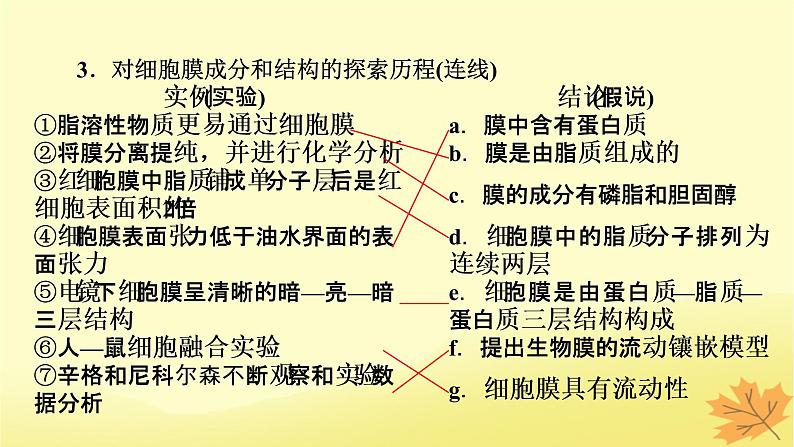 2023版高考生物一轮总复习第2单元细胞的基本结构细胞的物质输入和输出第1讲细胞膜的结构和功能细胞核的结构和功能课件06