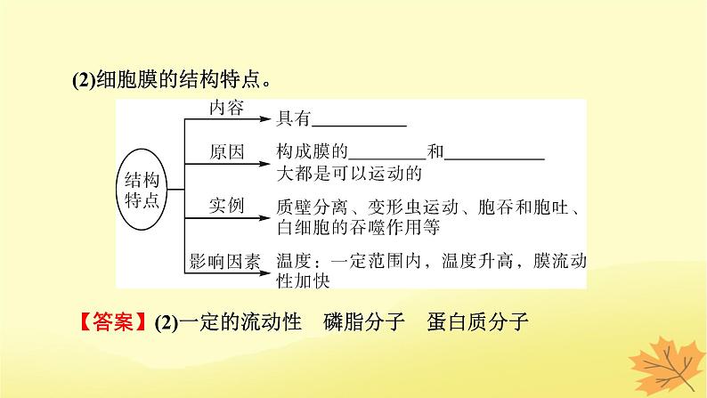 2023版高考生物一轮总复习第2单元细胞的基本结构细胞的物质输入和输出第1讲细胞膜的结构和功能细胞核的结构和功能课件08