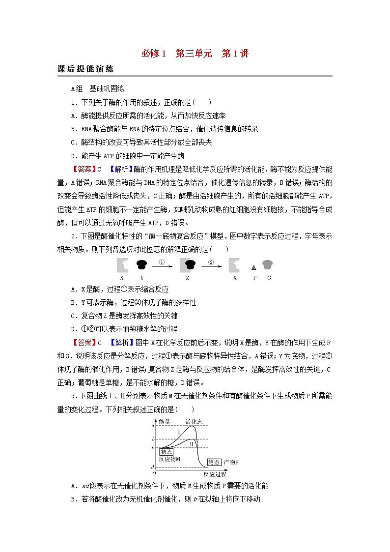 2023版高考生物一輪總復(fù)習(xí)第3單元細胞的能量供應(yīng)和利用第1講降低化學(xué)反應(yīng)活化能的酶課后提能演練第1頁