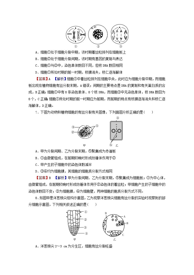 2023版高考生物一轮总复习第4单元细胞的生命历程第1讲细胞的增殖课后提能演练第3页