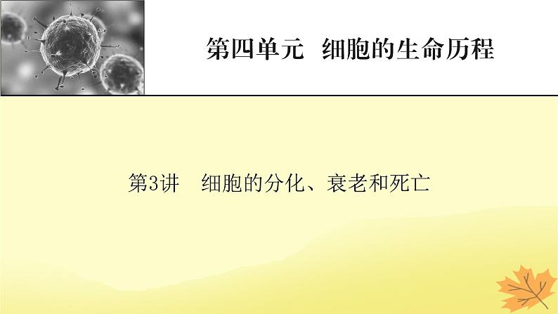 2023版高考生物一轮总复习第4单元细胞的生命历程第3讲减数分裂和受精作用课件第1页